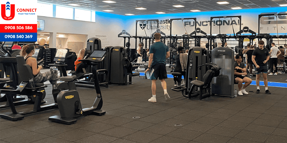 Đại học Newcastle University, hạt Northemberland, Vương quốc Anh